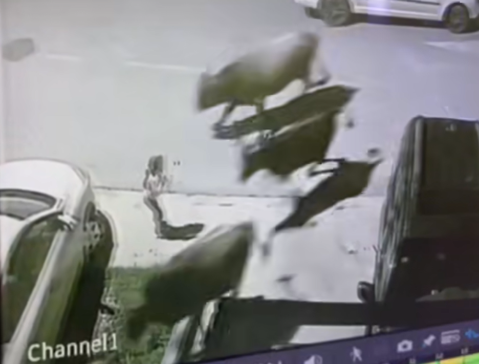 VIDEO Dijete spašeno od krda lutajuće stoke u Dumidranu kod Tivta