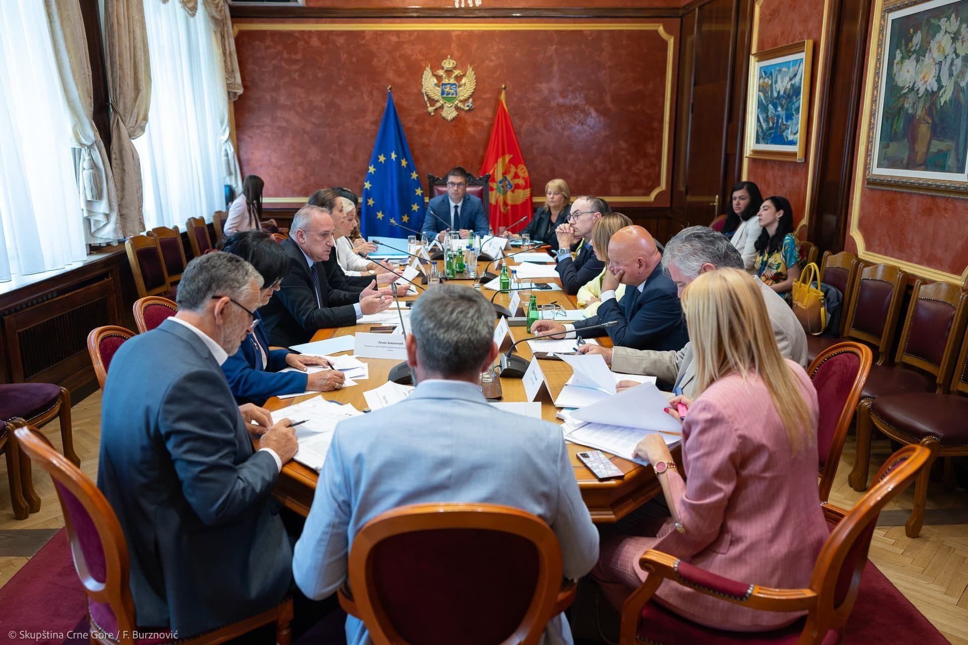 Kontrolno saslušanje ministarke Vujović zbog dodjele Trineastojulske nagrade