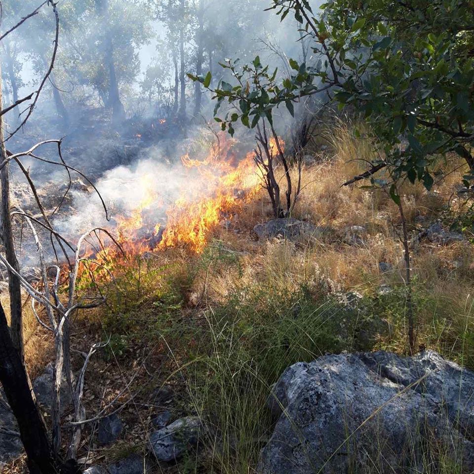 Pune ruke posla za podgoričke vatrogasce