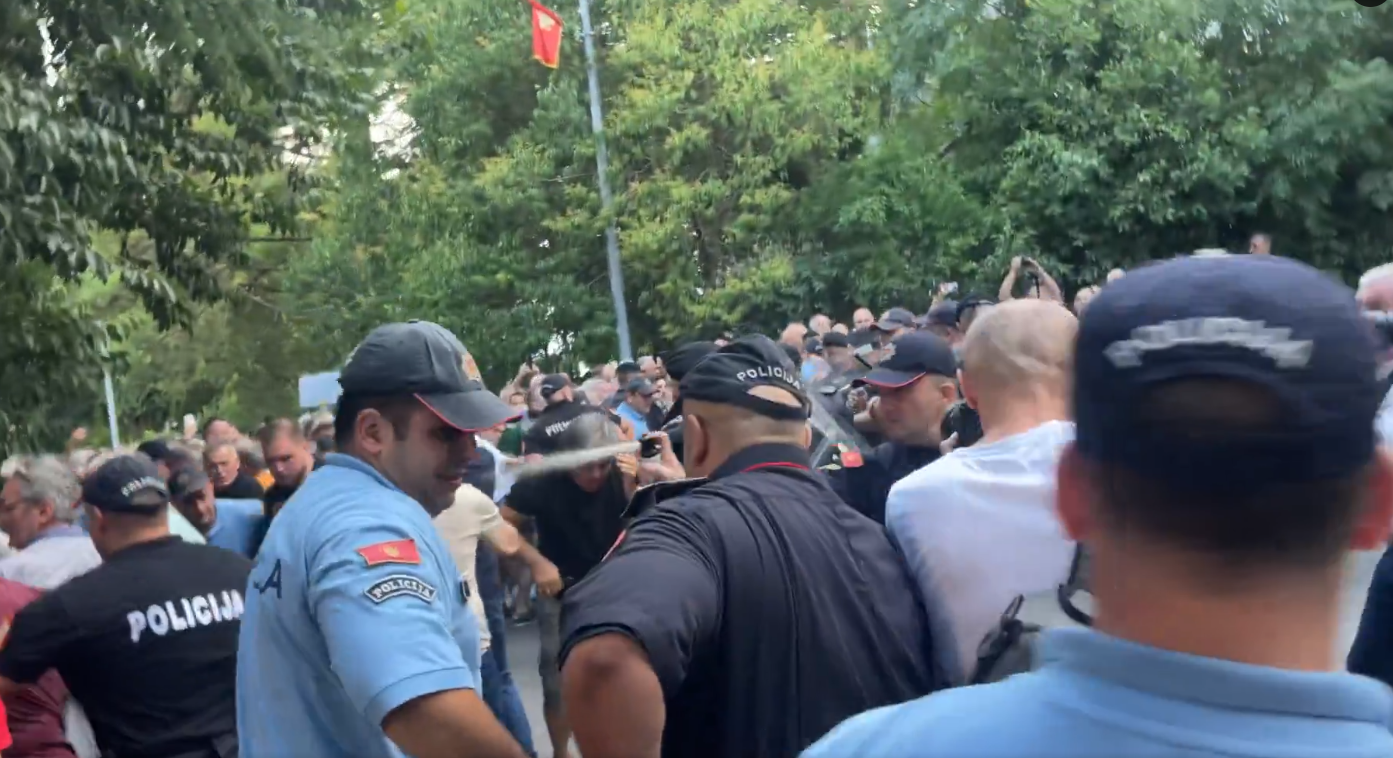 Šehović: Crna Gora ne smije biti država koja dodjeljuje nagrade šovinistima, a biber sprej slobodnim građanima