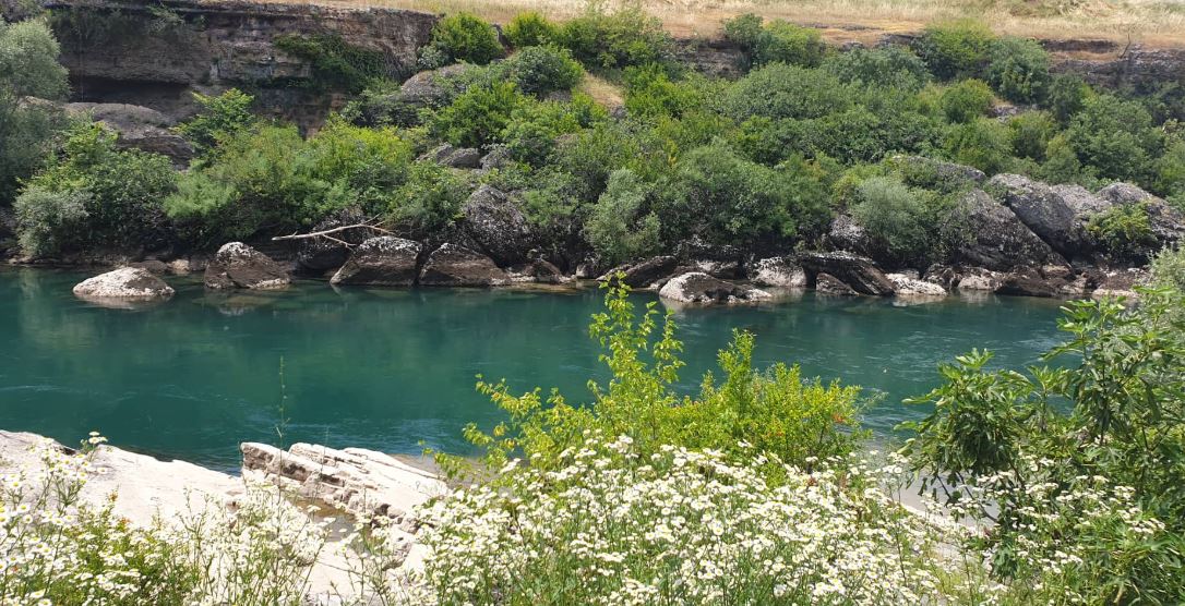 Uhapšene zbog boravka na obali Morače