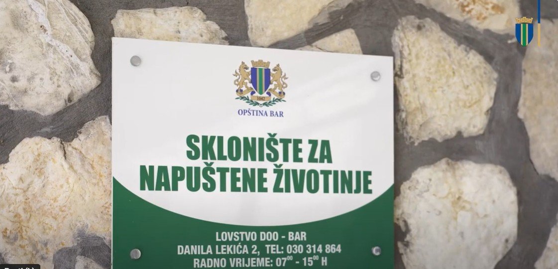 Opština Bar: Zahvaljujući radu Skloništa za napuštene životinje na Kufinu novi dom dobilo čak 120 pasa u 2025. godini