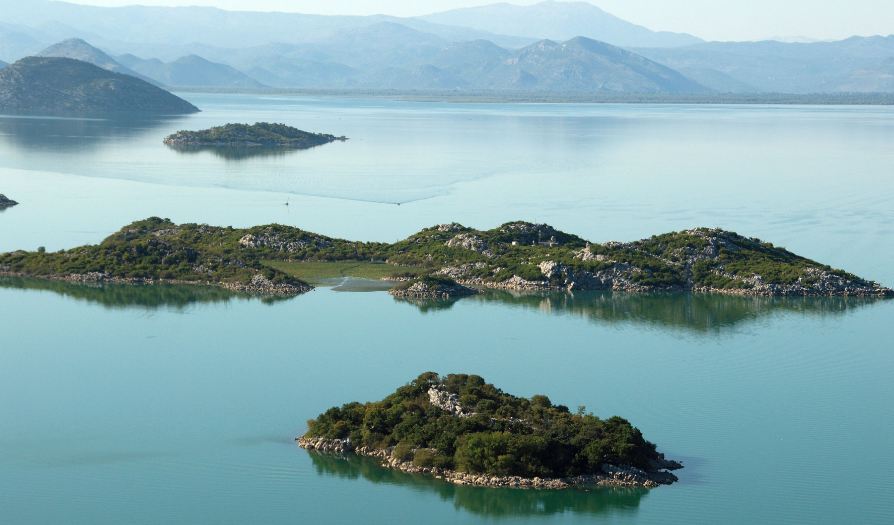 Sankcionisana nelegalna prodaja ribe iz Skadarskog jezera