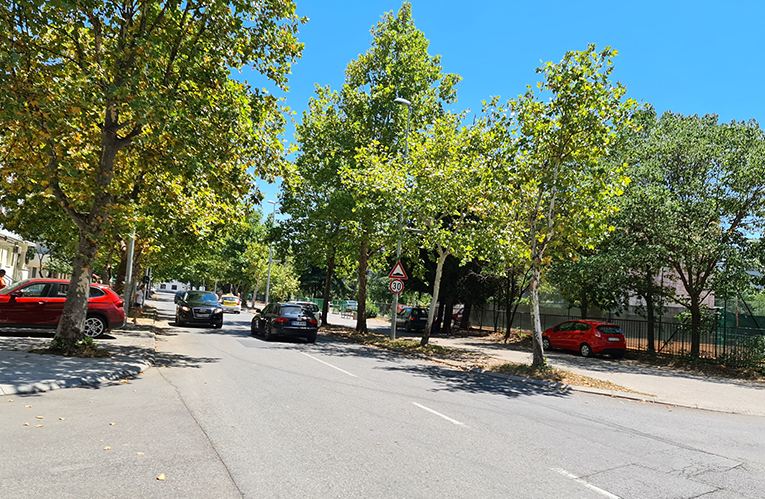 Rekonstrukcija ulice Vasa Raičković: Novih 50 parking mjesta