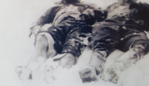 Jovan S. Plamenac o zločinu nad porodicom patriote i komite Petra Tomaševa Zvicera (1923)