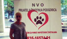 "Ubijeni psi na Zlatici potvrda da su borbe pasa i te kako aktuelne"