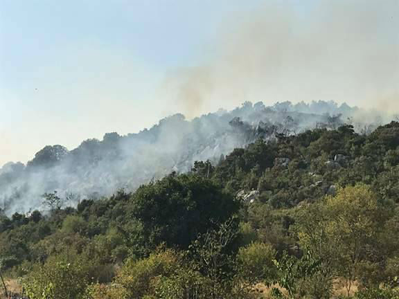 Gori na više lokacija u Podgorici, pomažu i avioni
