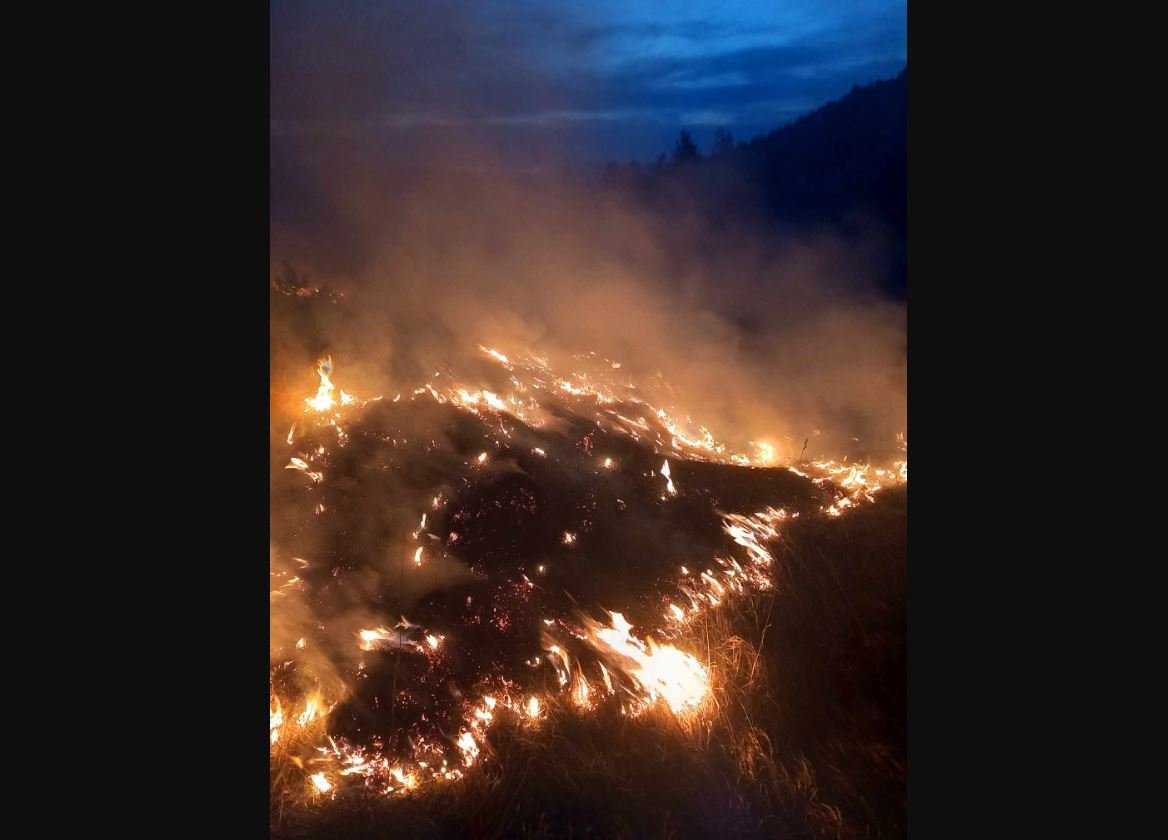 Policija u Bijelom Polju i Mojkovcu: Utvrđujemo odgovornost pojedinaca za šumske požare