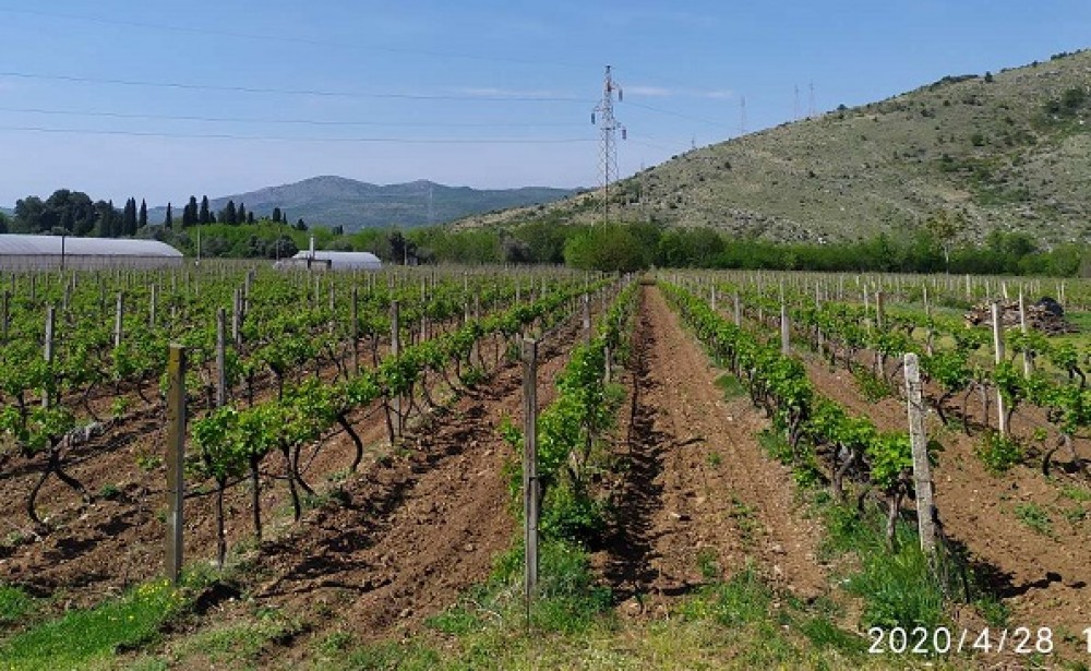Biotehnički fakultet pomaže poljoprivredi