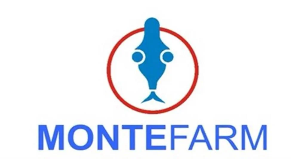 Apoteke Montefarma dežurne tokom praznika