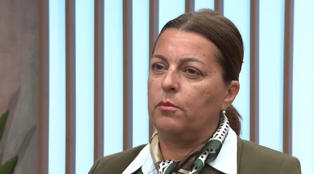 Vujović o istrazi SDT-a: Sloboda medija nije ugrožena