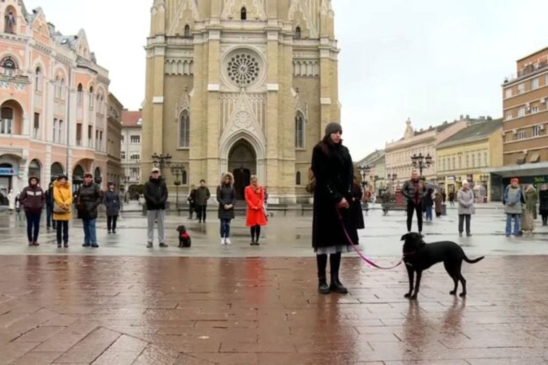 Novi protest u Novom Sadu: „Bulevar krvavih tragova“