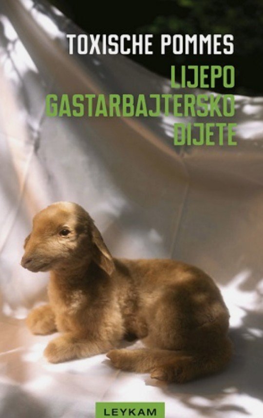 Promocija knjige „Lijepo gastarbajtersko dijete”