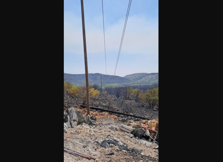 Na 10 kV izvodu „Piperi“ do sada izgorjelo oko 50 dalekovodnih stubova
