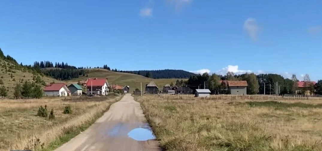 Drama na krajnjem sjeveru države: Čovjek se susreo sa četiri medvjeda, pukom srećom izbjegao napad