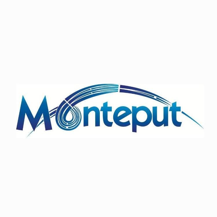 Monteput: ENP korisnici mogu da plaćaju putarinu elektronskim putem i u Srbiji