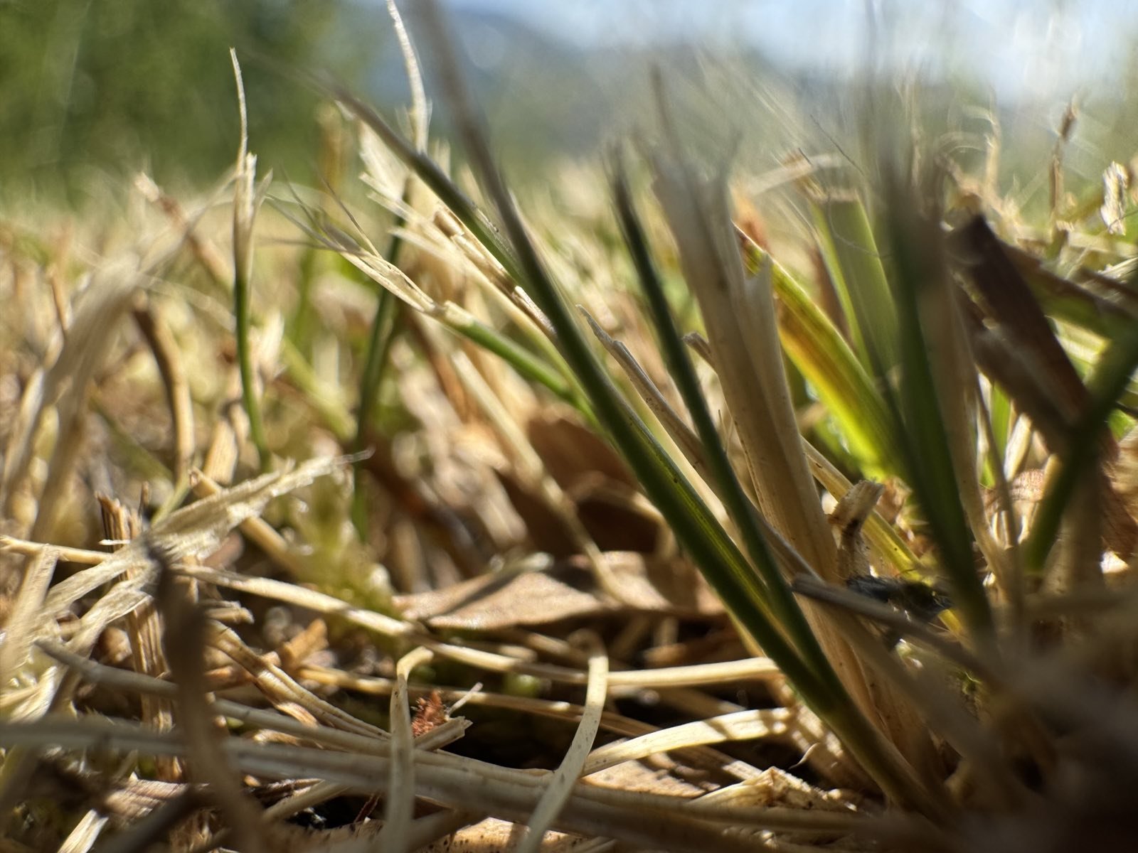 Vrijeme sjutra: Sunčano i toplo, temperatura do 35 stepeni