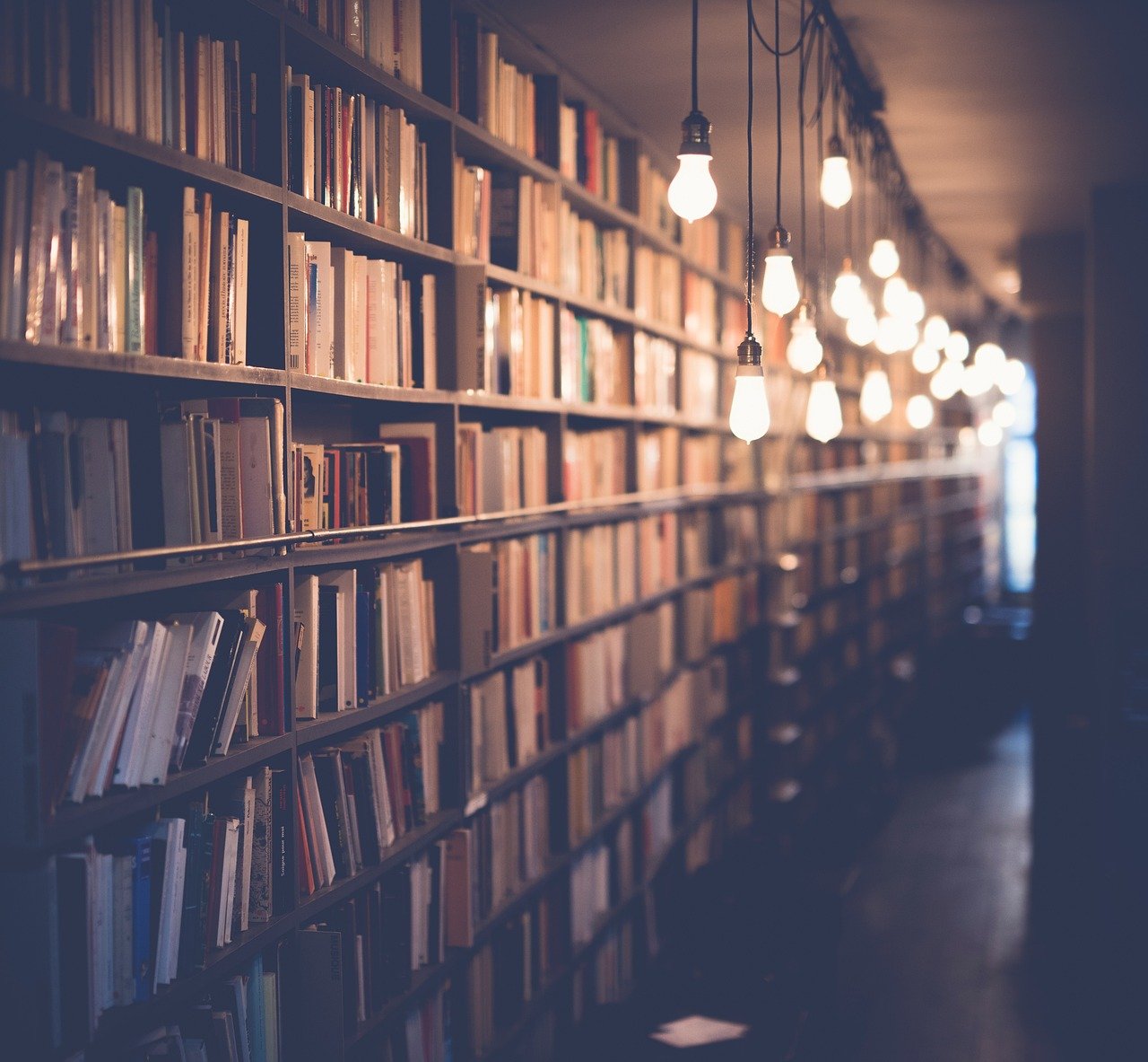 Biblioteka za slijepe da bude matična ustanova za pristupačne formate