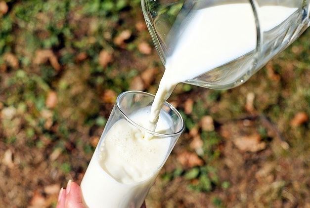 Proizvođači mlijeka traže subvencije deset centi po litru