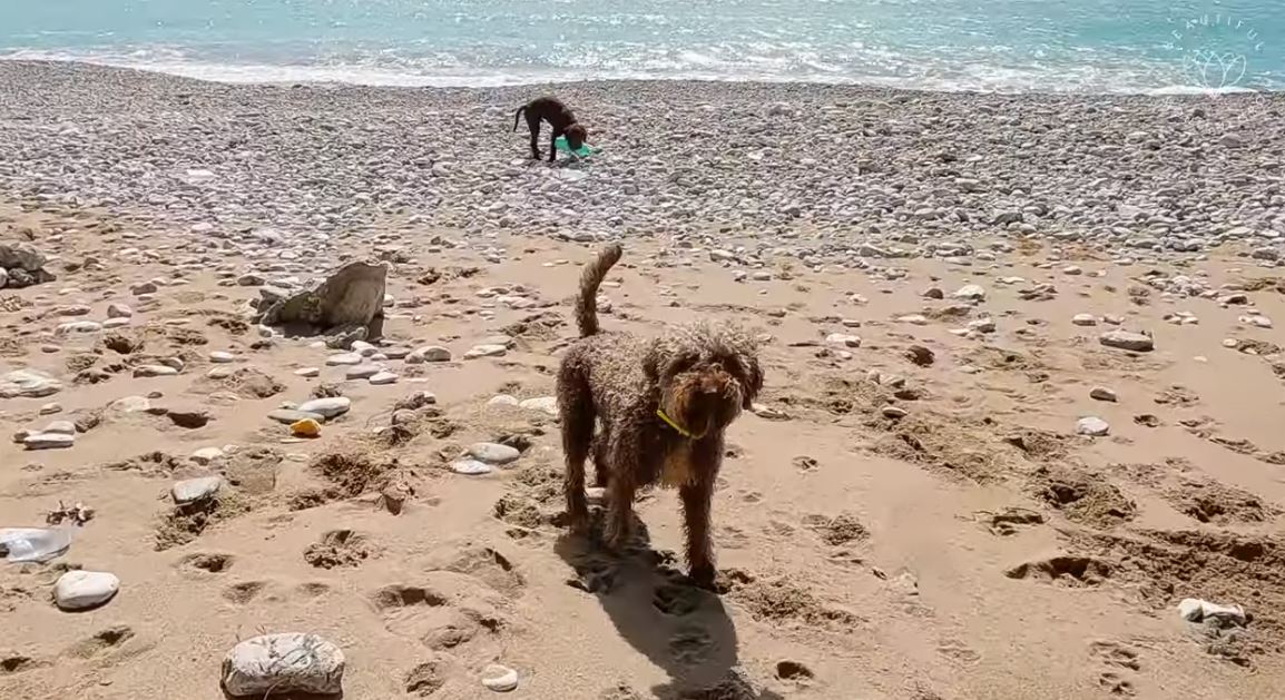 Pogledajte snimak sa jedne od najljepših crnogorskih plaža