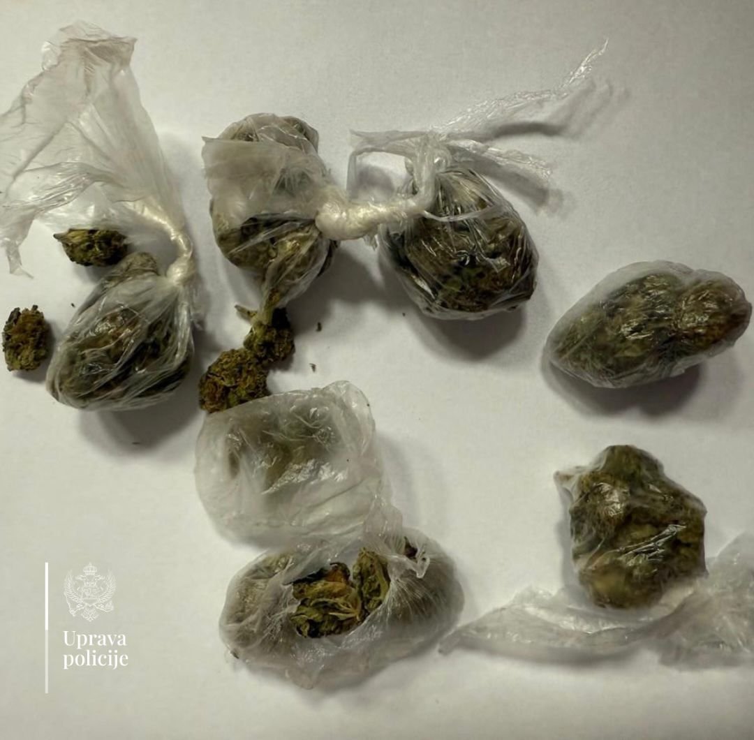 Tivat: Na žurci kod devetnaestogodišnjeg Podgoričanina pronađena marihuana, sumnja se da je bila namijenjena za prodaju