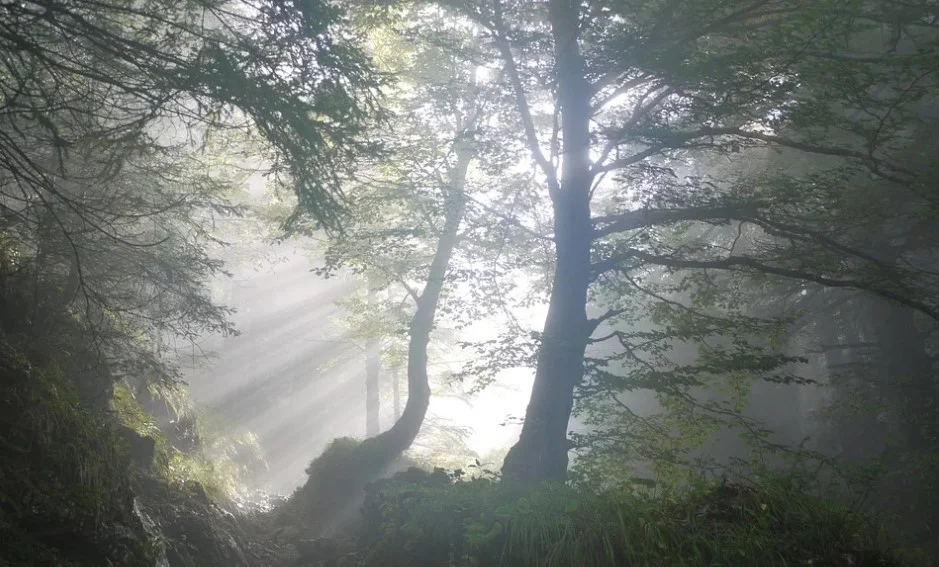 Sjutra sunce i oblaci, do 20 stepeni