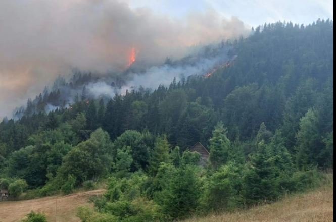 Više požara u Bijelom Polju: Vatrogasci danima na terenu