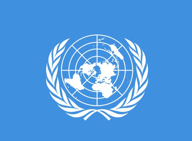UN: U Avganistanu 4.313 civilnih žrtava