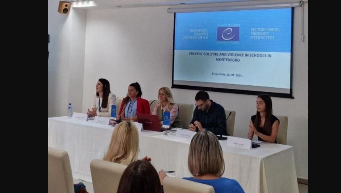 MPNI: Istraživanje o nasilju u školama tokom dva mjeseca