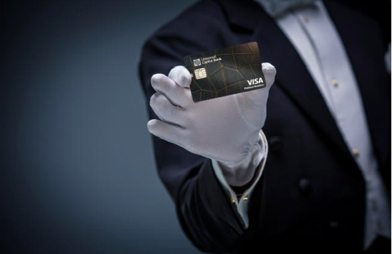 Visa Platinum Business metalna kartica- sinonim za prestiž i benefite!