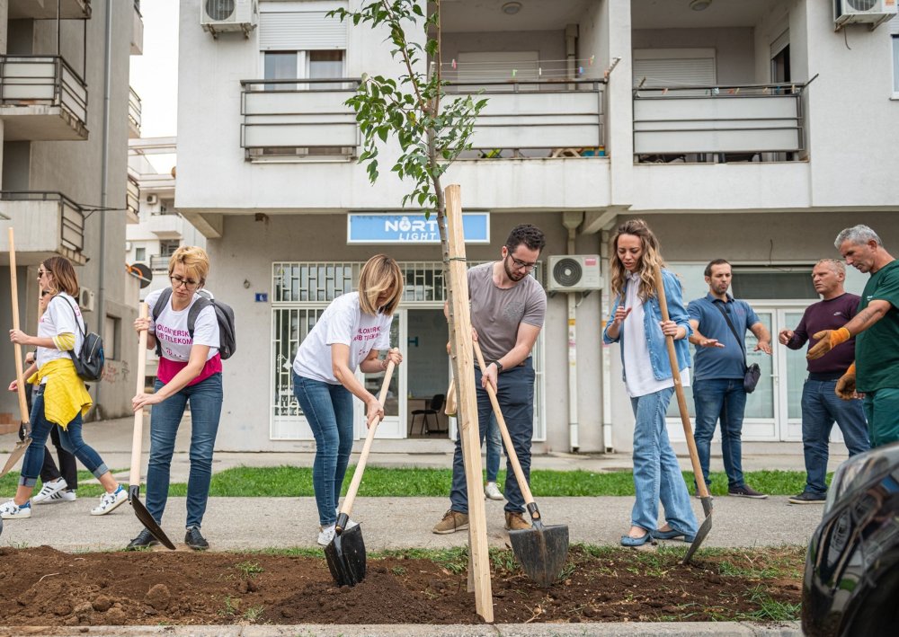 U Bloku 9 zasađeno 20 stabala košćele