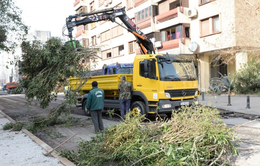 Ulica Oktobarske revolucije dobiće i novi zeleni pojas