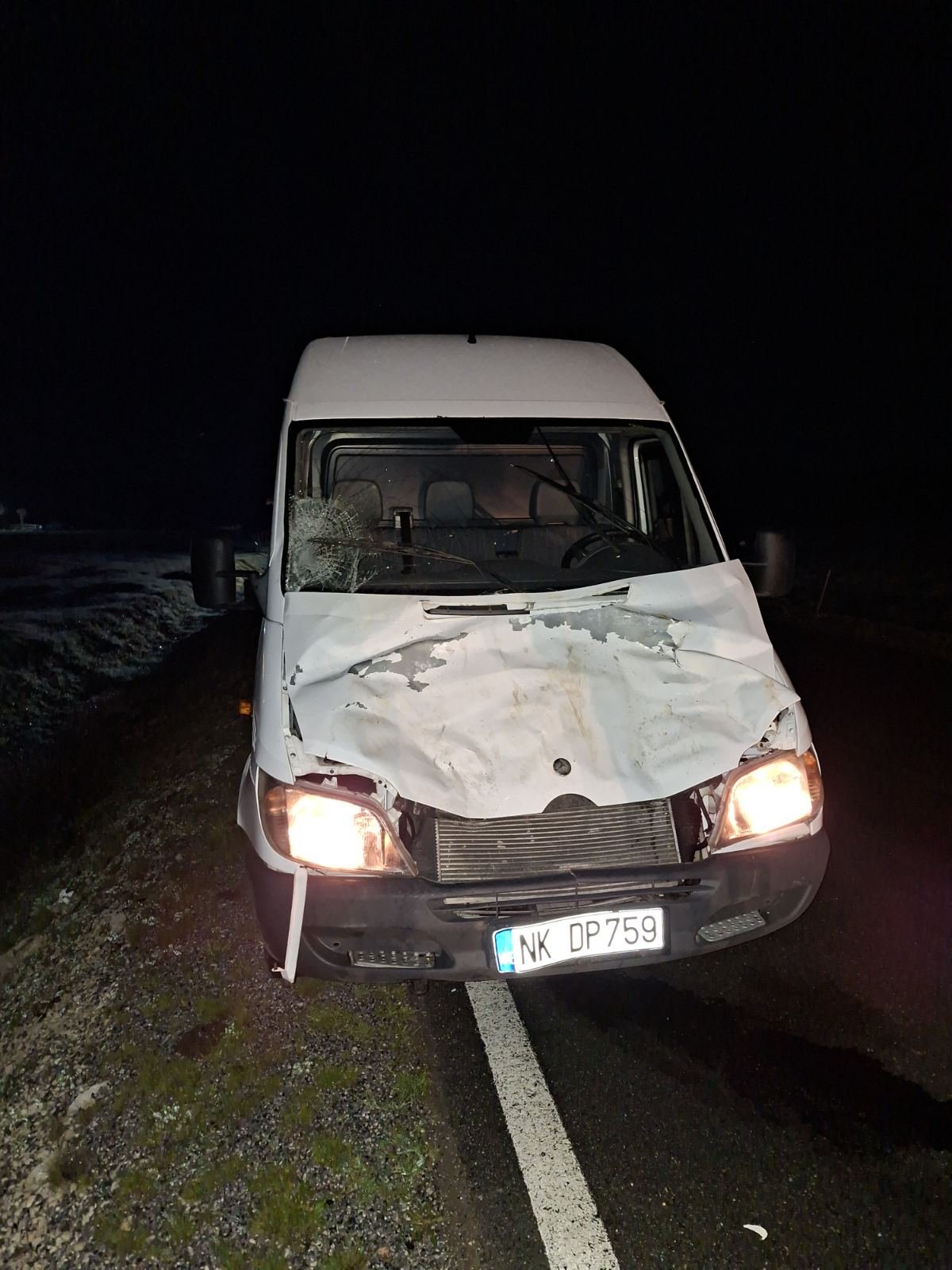 Žabljak: Automobilom udario u konja