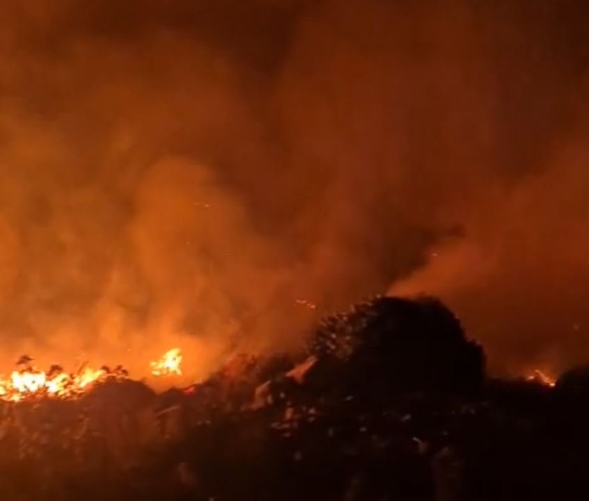 Požar na Lovćenu pod kontrolom