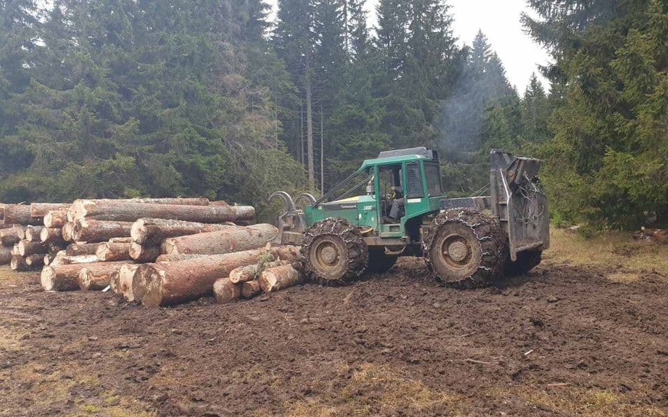 KOR: Zaustaviti poharu šume na Durmitoru