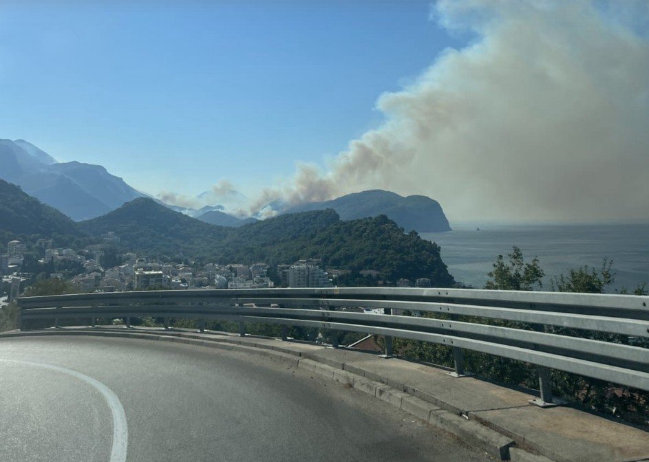 Odžić: Vatrogasci se 72 sata bore sa vatrenom stihijom, večerašnja noć je presudna, jer je najavljena jaka bura