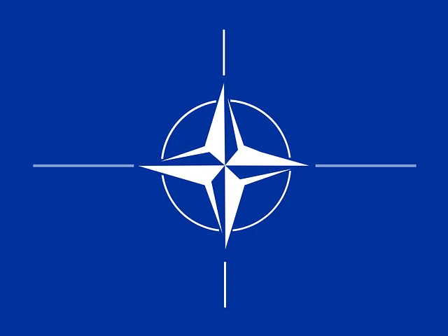 Pad podrške članstvu u NATO, 48 odsto građana bi glasalo da država ostane dio saveza