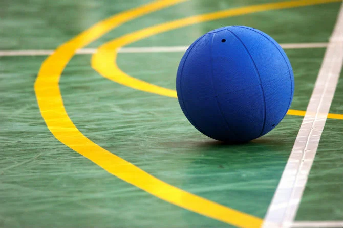 Žarković i Jovanović na Svjetskom tekbol prvenstvu u Bangkoku