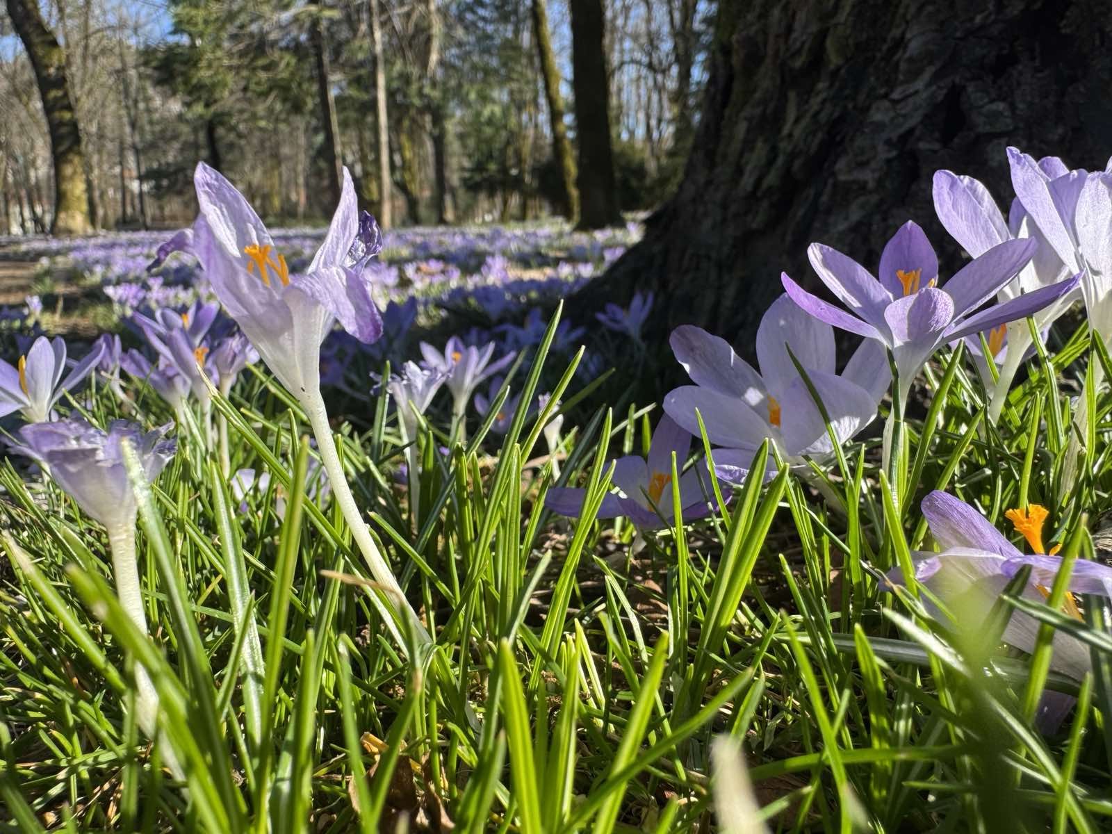 Vrijeme sjutra: Pretežno sunčano, temperatura do 27 stepeni
