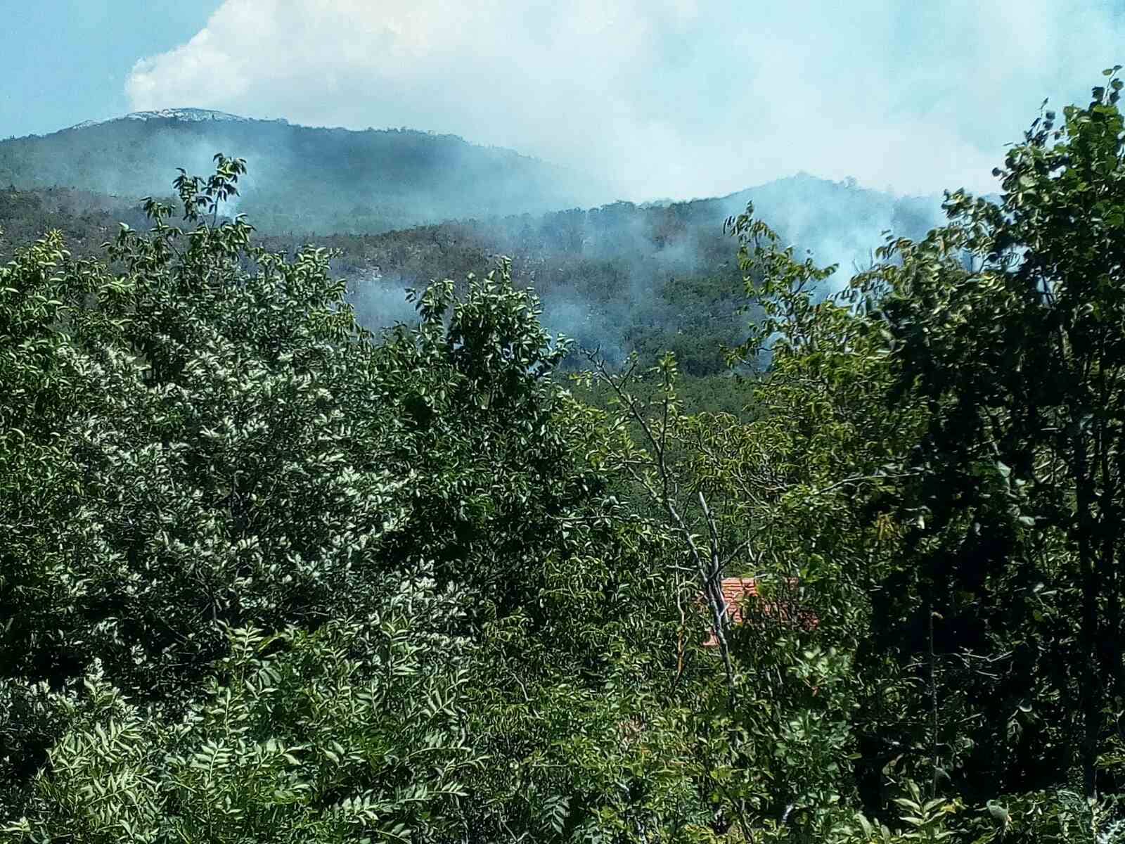 Čitaoci šalju: Gori Vojnik, niko ne reaguje