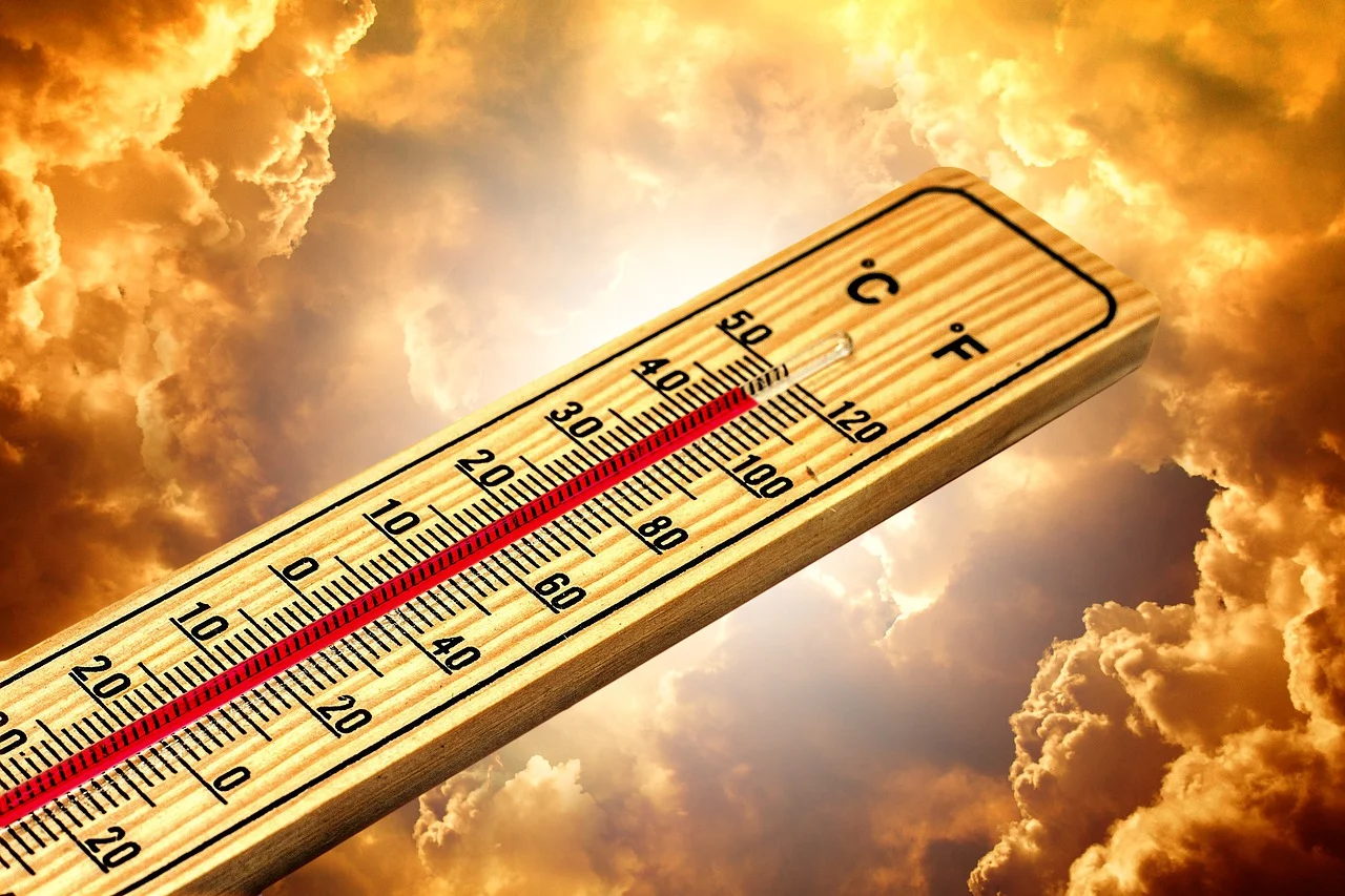 Smrtonosna vrućina nova je klimatska realnost Evrope