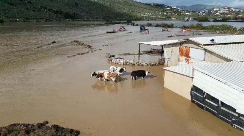 Poplave u Albaniji: Sela izolovana, porodice evakuisane, bujice nose mostove