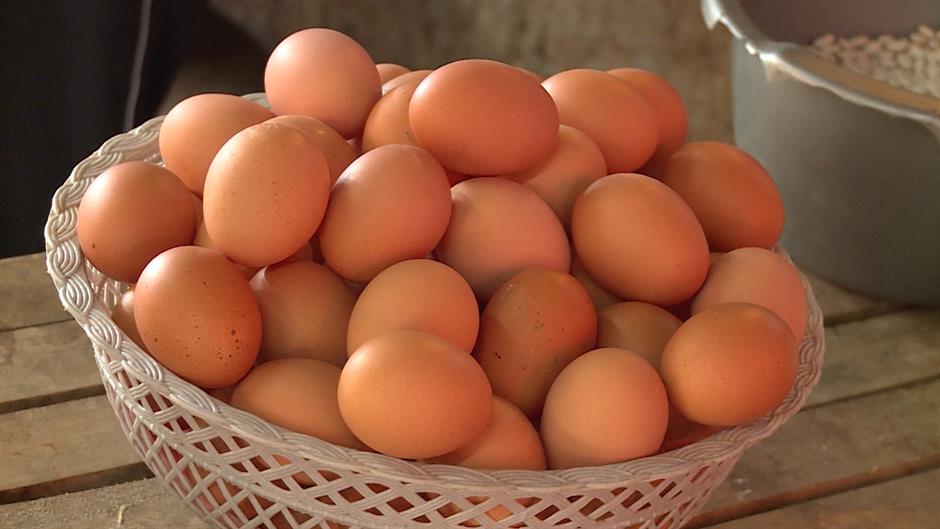 Dok Evropu trese afera naši farmeri poručuju: Proizvodimo zdrava jaja