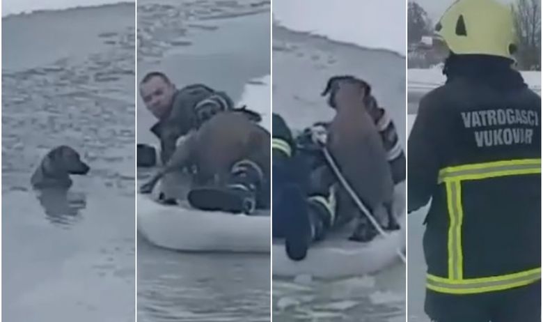 Najdirljiviji snimak koji ćete vidjeti danas: Hrabri vatrogasac spasio psa iz ledene vode