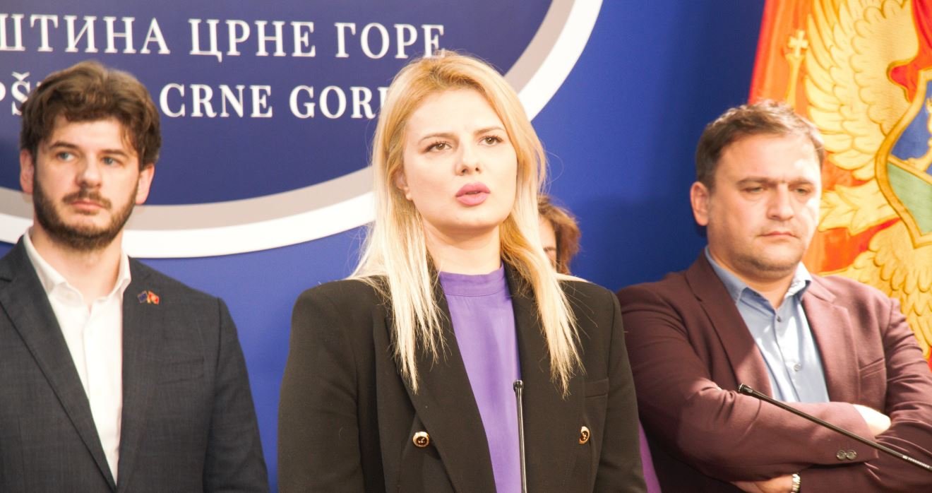 Nedović: PES dijeli mišljenje Demokrata da iza protesta ne stoji neformalna grupa studenata „Kamo śutra?“