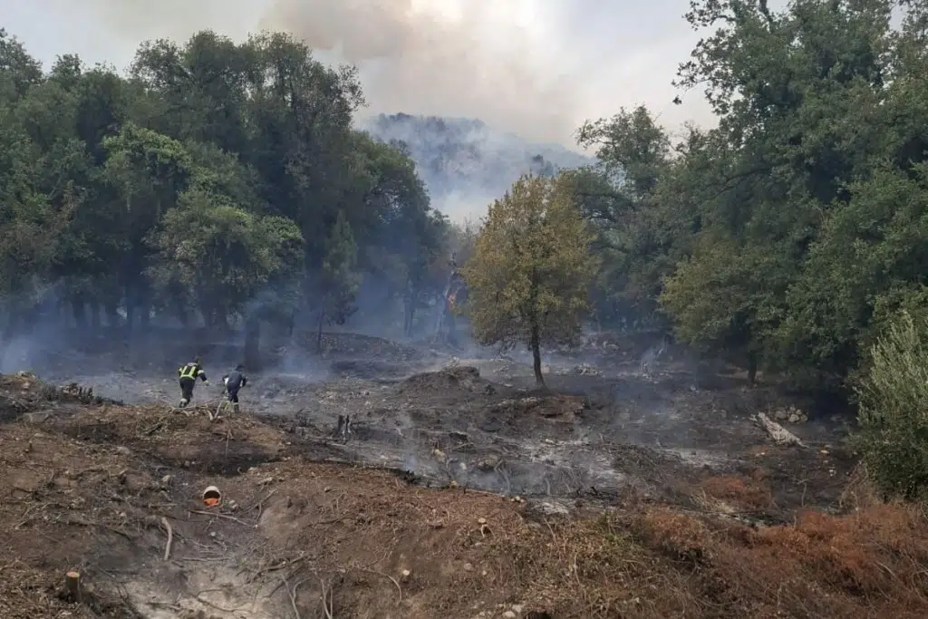 Lokalizovan požar iznad Budve