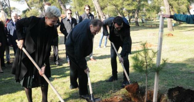 Zlatička šuma bogatija za 100 novih stabala crnog bora