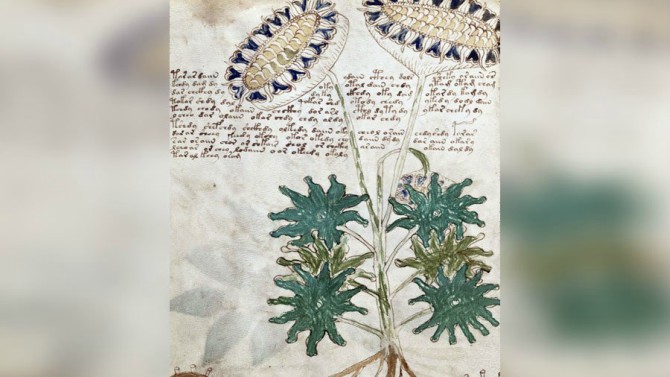Naučnici konačno dešifrovali misteriozni rukopis iz 15. vijeka