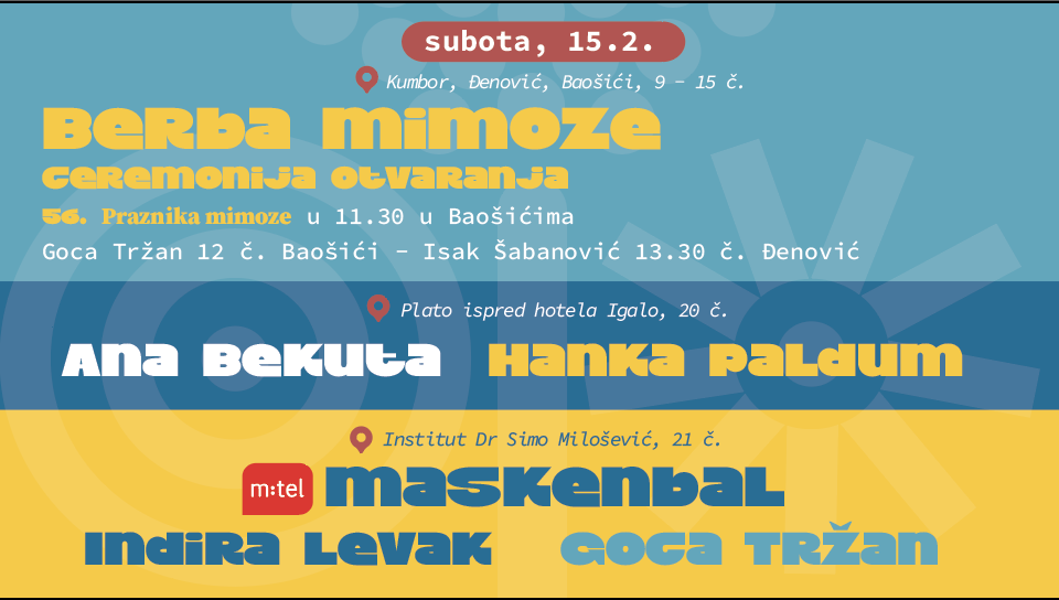 Nevrijeme odgađa otvaranje – fešta od mimoze počinje u subotu