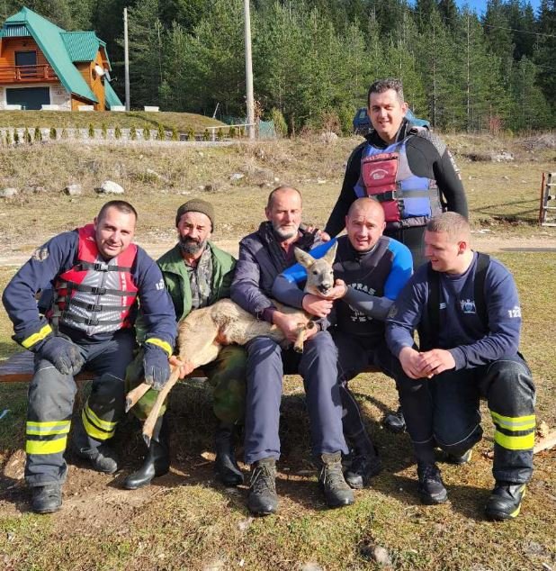 Pogledajte snimke sa Žabljaka: U dramatičnoj akciji iz zaleđenog Zminičkog jezera spašena srna